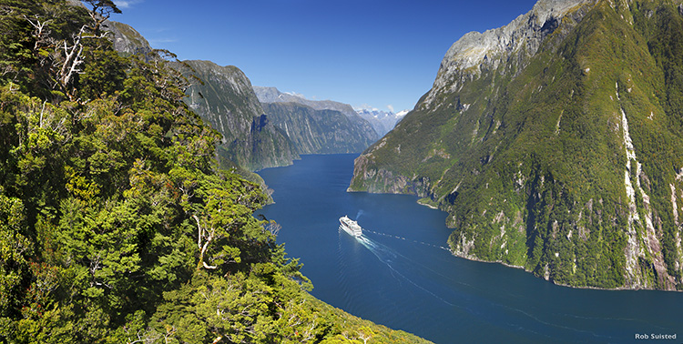 Cruise ship in Milford Sound, Fiordland National Park, New Zeala